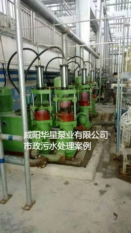 YB200陶瓷柱塞泥漿泵污水處理廠案例